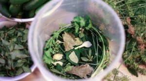 Квашеные огурчики