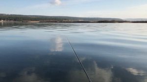 Хариус на сухую мушку