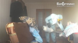 Уничтожение,обработка помещения от тараканов в Обнинске,цена