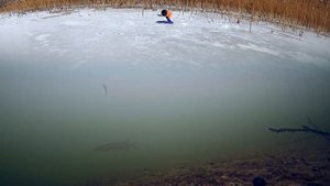 ЖЕРЛИЦЫ! Крупная ЩУКА на Окуня! Зимняя рыбалка 2020