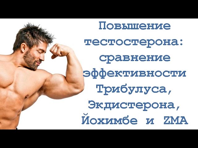 Повышение тестостерона: сравнение эффективности Трибулуса, Экдистерона, Йохимбе и ZMA