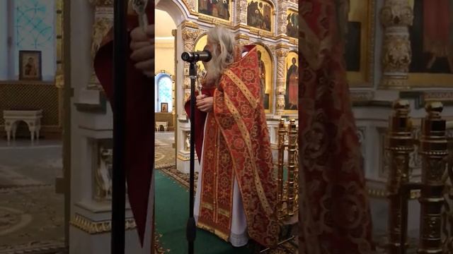 Батюшка во время службы смотреть онлайн