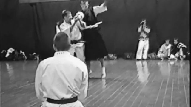 少林寺拳法 SHORINJI KEMPO. WSKO MOSCOW BRANCH. Случайно нашел то, что было забыто 20 лет назад....