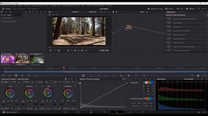 Перенос настроек покраски видео в Davinci Resolve