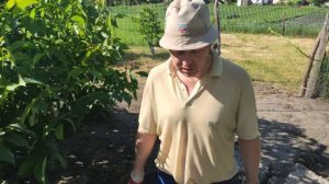Септик из колёс 2020 своими руками из подручных покрышек