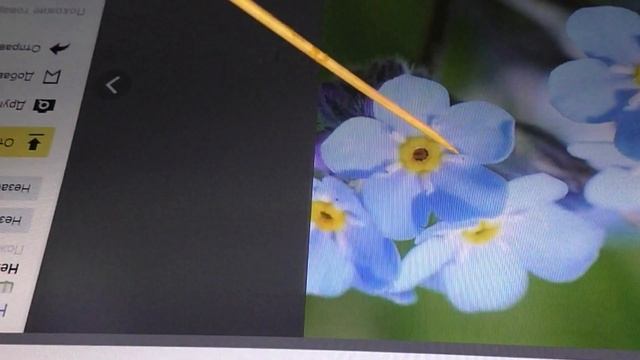 Незабудки из фоамирана/Как сделать молд незабудки/ Myosotis Of Foamiran/МК/DIY
