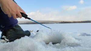 Крупная ПЛОТВА на мормышку / Зимняя рыбалка 2022 / Ловля окуня