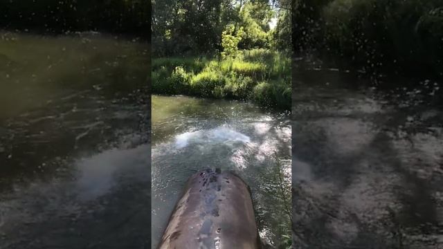 Купаюсь в реке Усе смотреть онлайн