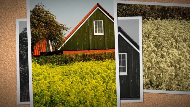 German Anthem - Flute by Chris Scheri смотреть онлайн