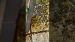 #приора на промывку радиатора печки #радиатор5.0