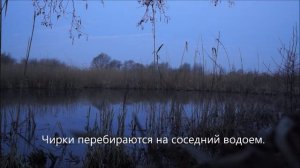 Весенняя охота на селезня.mp4