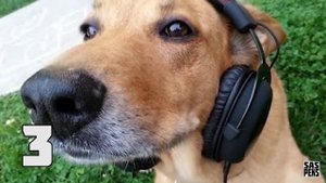 5 АУДИО ИЛЛЮЗИЙ. Обмани УШИ!