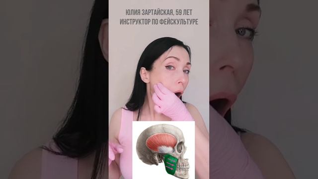 Буккальные приёмы для жевательных мышц смотреть онлайн