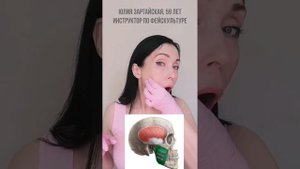 Буккальные приёмы для жевательных мышц