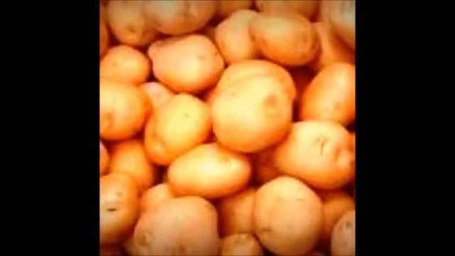 Как правильно выращивать картофель