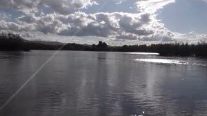 Хариус в протоках. Красноярск.