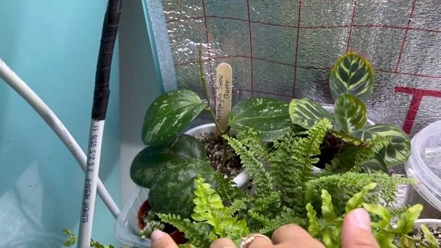 Новинки хой смотреть онлайн