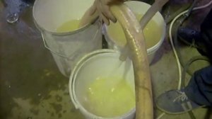 Перистальтический насос