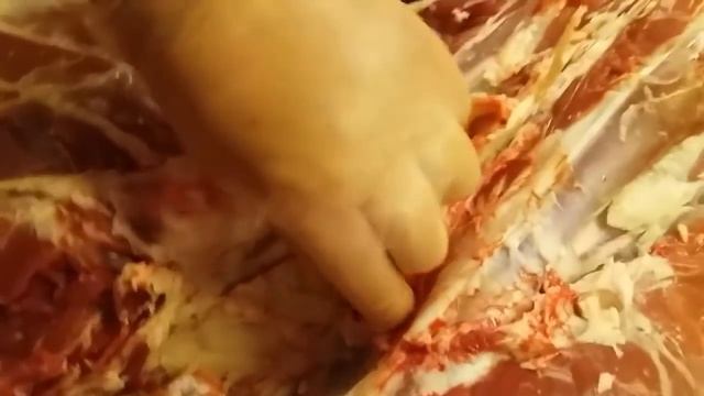 РАЗДЕЛКА ТУШИ БАРАНА НА ЧАСТИ  И ИХ НАЗНАЧЕНИЕ  Часть 1 /ram on the part