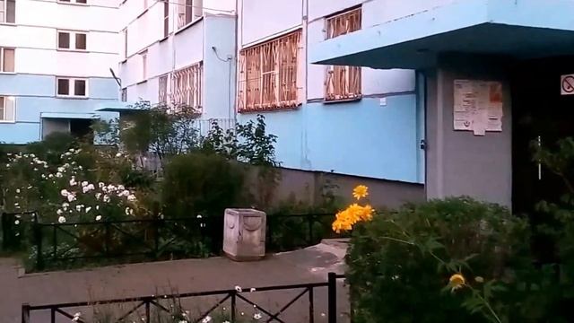 | VLOG из Санкт- Петербурга | Tanya Tolmacheva смотреть онлайн