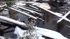 РЫБАЛКА / ДИВНАЯ ПРОГУЛКА ПО ЛЕСНОЙ РЕЧКЕ / БРАТЬЯ ПРИХОДЬКО