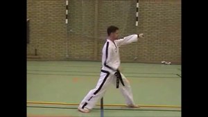 Дан-Гун (Dan-GunTul-Taekwondo techniques )