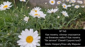 Как понять: «Аллах спускается на ближнее небо»? Как понять "би затихи" (Своей Сущностью)?