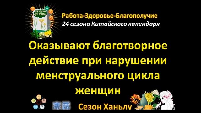 СЕЗОН ХАНЬЛУ (ХОЛОДНЫЕ РОСЫ) смотреть онлайн