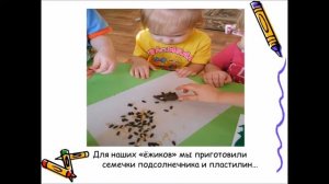 ИГРЫ С ПРИРОДНЫМ МАТЕРИАЛОМ