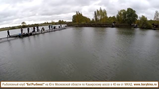 Платная рыбалка в Подмосковье на форель в октябре смотреть онлайн