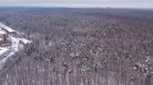 ЮЛА - Южно-Лыткаринская дорога - д.Андреевское, Тураевское и Лыткаринское ш., Вырубка леса (11.2022