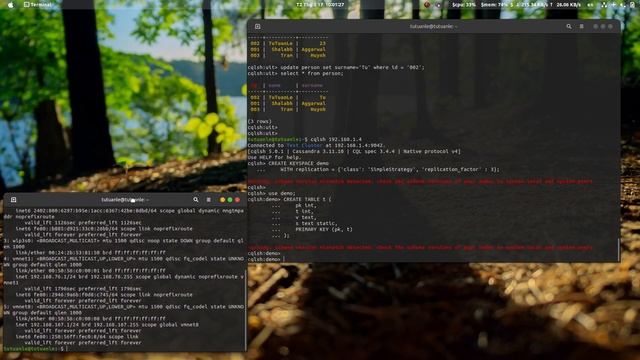 Cassandra Query Language (CQL) смотреть онлайн