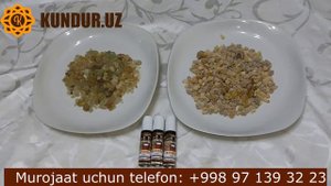 "Kundur" turlarini tanlay olish va buyurtma berish.