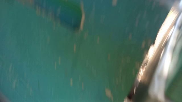 Результат работы салфеток от клеща Вароа смотреть онлайн