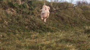 Наконечник для Стрел Шокер Раскрывашка!