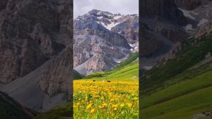 Песня "Обережная"