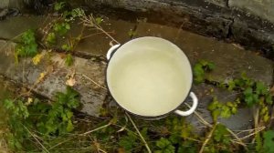 Куры Дождевая вода ускоритель роста