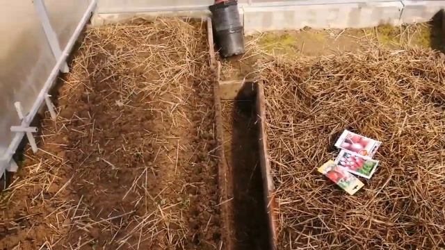 ДАЧНЫЙ VLOG/БЫСТРЫЙ СПОСОБ ПОСАДКИ РЕДИСКИ смотреть онлайн