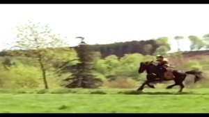 Chris de Burgh - Rose of England