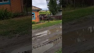 Прогулка по Усть - Чарышской Пристани.