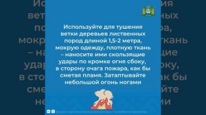 Экстренные действия при ландшафтном пожаре