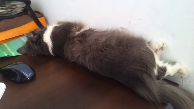 очень чуткий сон смотреть онлайн