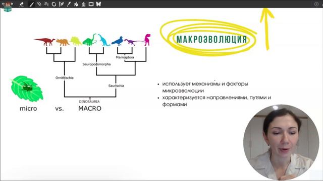 Вид.Направления, пути, формы эволюции