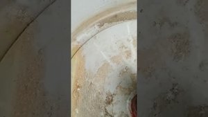 Посадка сальника в корродировавшее посадочное место при замене подшипников в стиральной машине