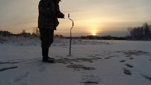Ловля окуня на зимнюю блесну с подсадкой окунёвого глаза.