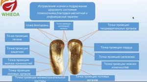 Продукция компании Whieda. Коррекционные стельки, анионовые прокладки, высокотехнологичные очки