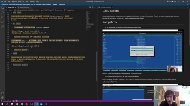 lab07 Создание отчёта (Звук съела собака).mp4 смотреть онлайн
