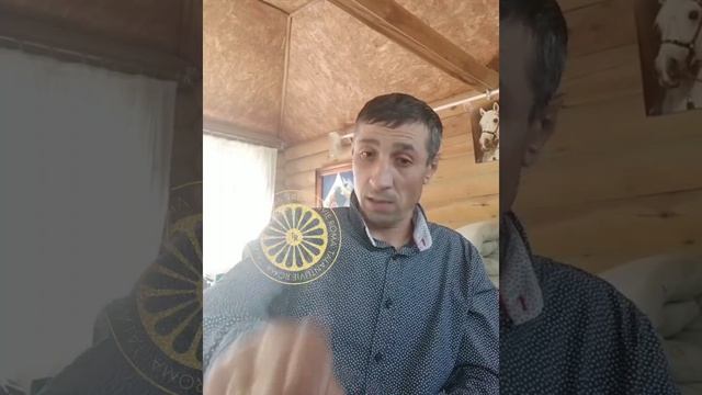 ПРИСЛАННЫЙ ТЕКСТ: «Вова Хамыч» смотреть онлайн