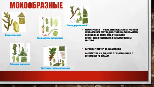 Библио - обзор "Красная книга Иркутской области" смотреть онлайн