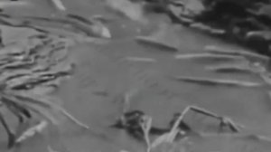 Тагир  ХУРЮГСКИЙ